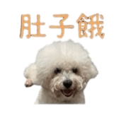 868780726