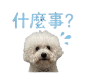 868780732