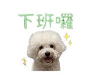 868780734