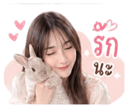 868817660