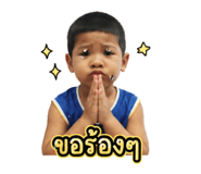 868817806