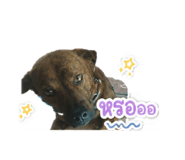 868817829