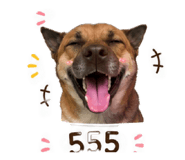 868817830