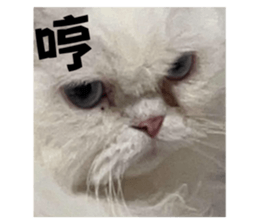 868857502