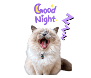 868891862
