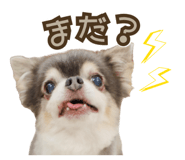868910776