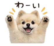 868944349