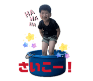 868945586