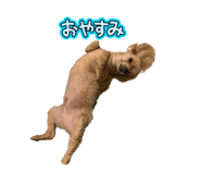 868953976