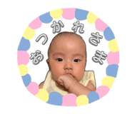 868954040