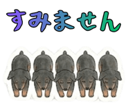 868988995