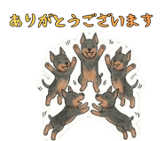 868988997