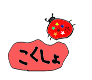 869005263