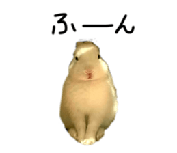 869010509