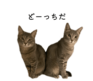 869076898