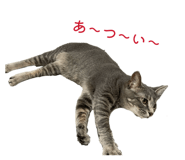 869076903