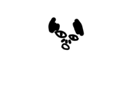 869080877