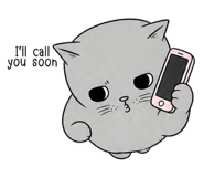 869086226