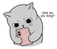 869086255