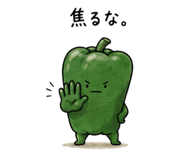 869097066