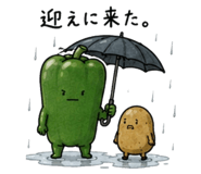 869097081