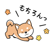 869184548