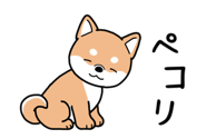 869184559