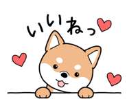869184562