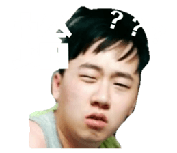 86921022