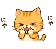 869232203