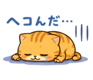 869232204