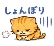 869232205