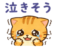 869232206