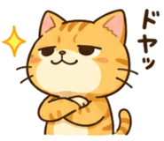 869232215