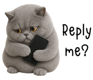 869245557