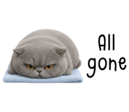 869245567
