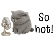869245581