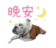 869312370