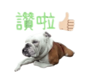 869312375