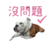 869312377