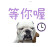 869312378