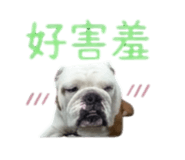 869312380