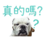 869312384