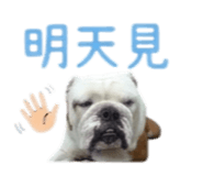 869312387
