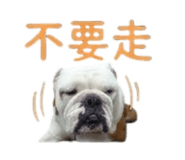869312388