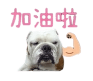 869312389