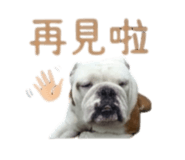 869312395