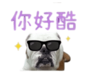 869312399