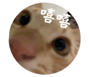 869313128