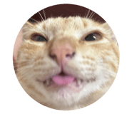 869313138